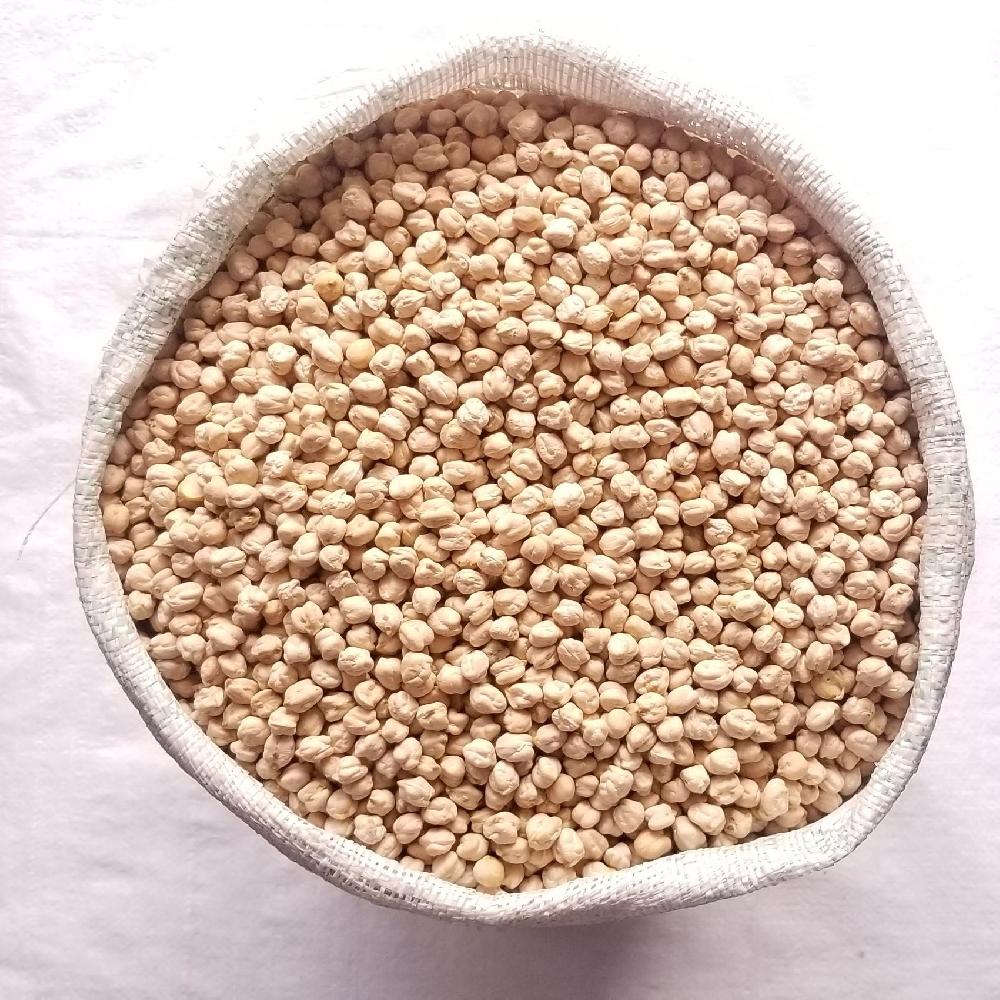 Garbanzo