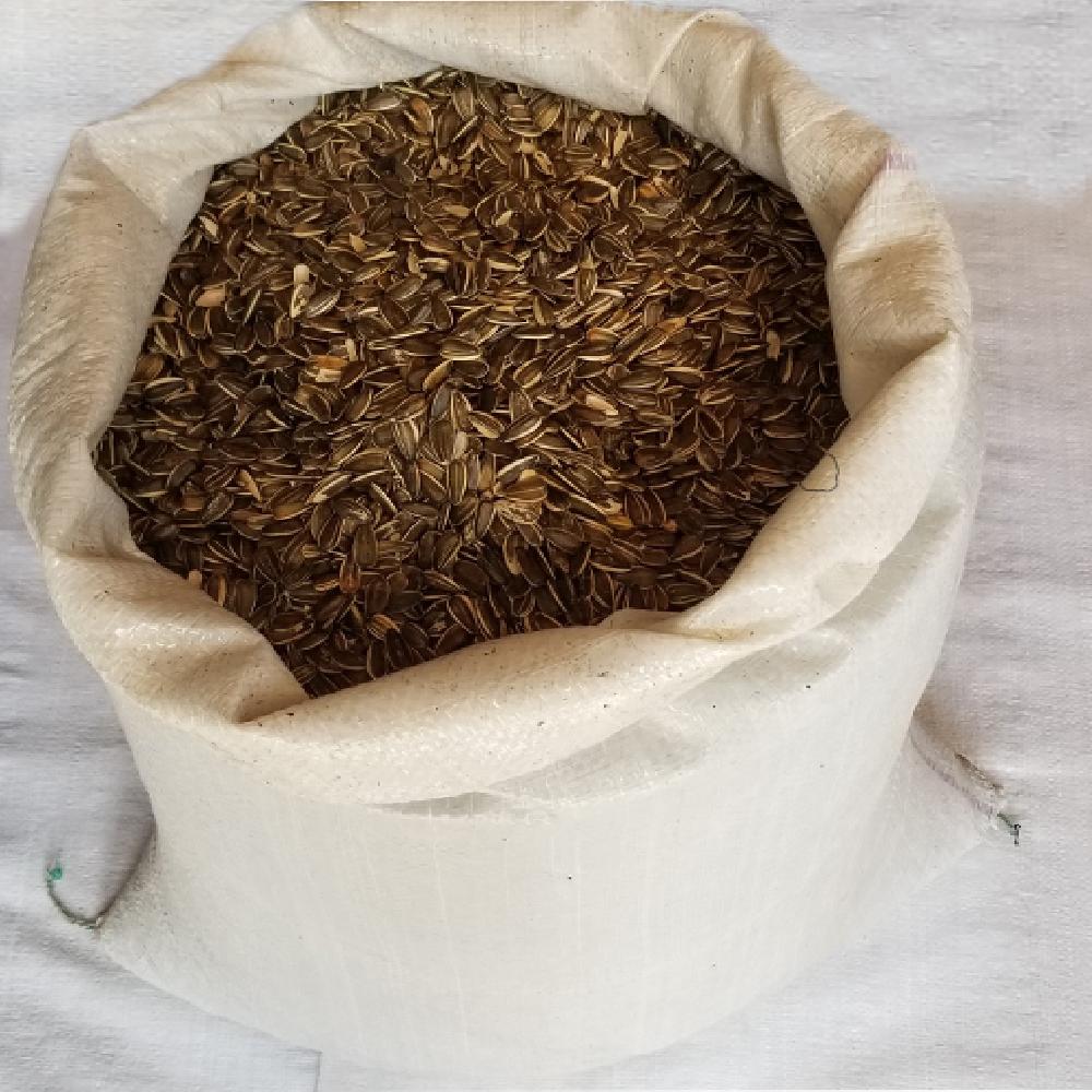 semilla de girasol